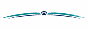 Teal and navy paw print divider-1